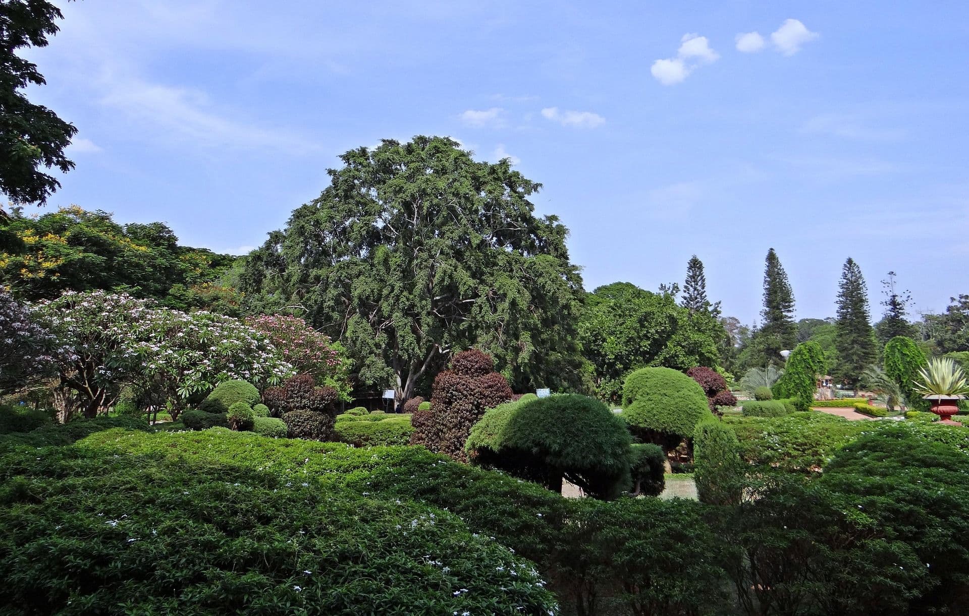 A botanical garden.