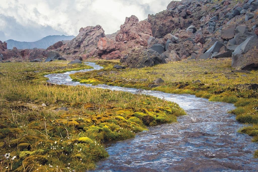 A river flowing through rocks and grass.